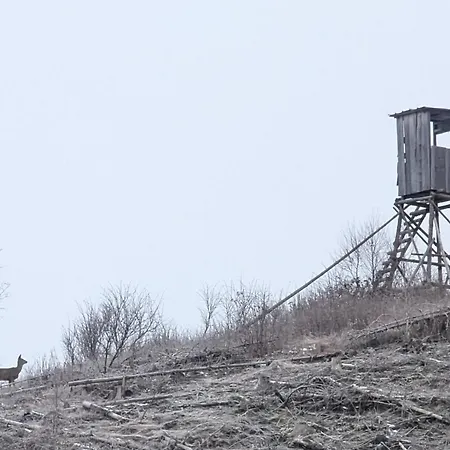 Im Schwedenhaus Apartamento Bad Laasphe