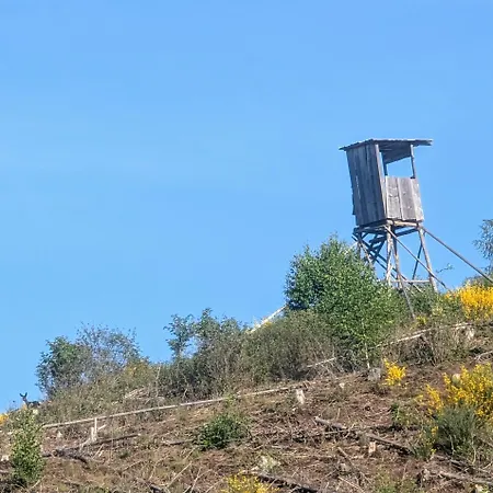 아파트 Im Schwedenhaus 바트라아스페