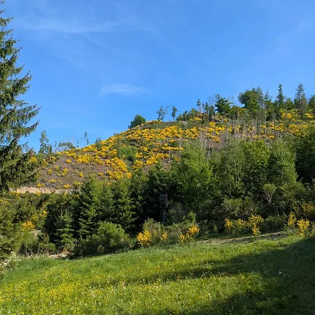 Im Schwedenhaus * Bad Laasphe