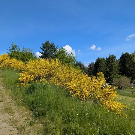 Im Schwedenhaus Apartamento