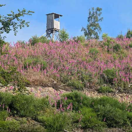 Apartmán Im Schwedenhaus