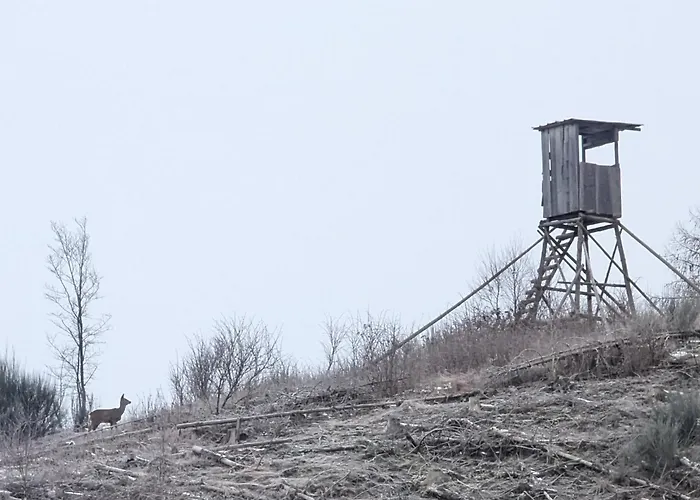 Im Schwedenhaus Apartment Bad Laasphe