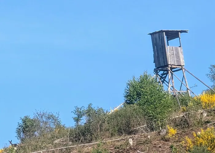 Appartement Im Schwedenhaus Bad Laasphe