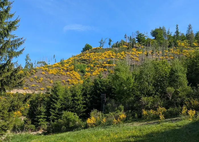 Im Schwedenhaus * Bad Laasphe