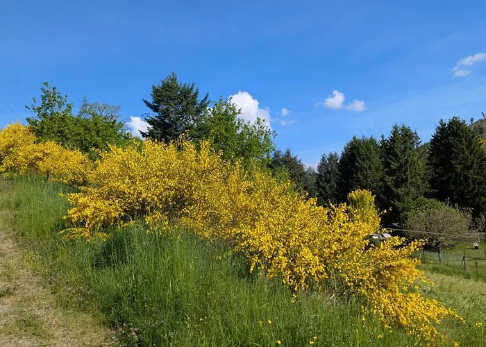 Im Schwedenhaus Apartmán