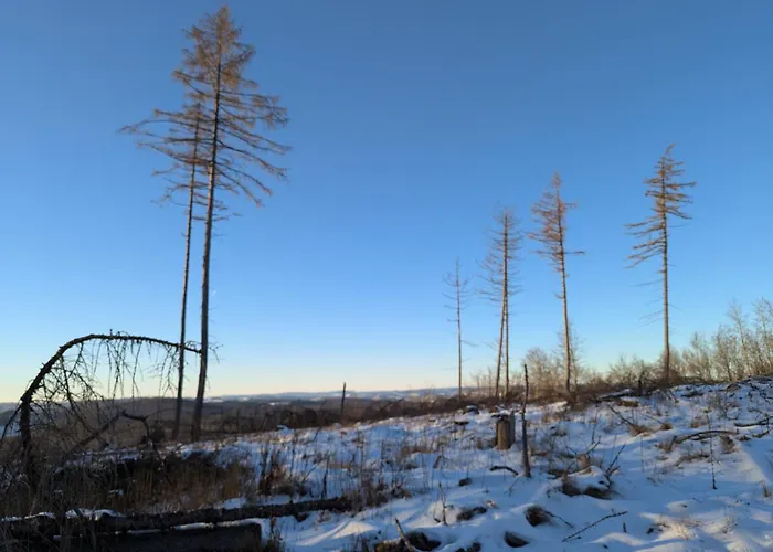 Apartmán Im Schwedenhaus Bad Laasphe