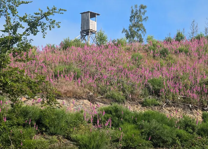 Appartement Im Schwedenhaus